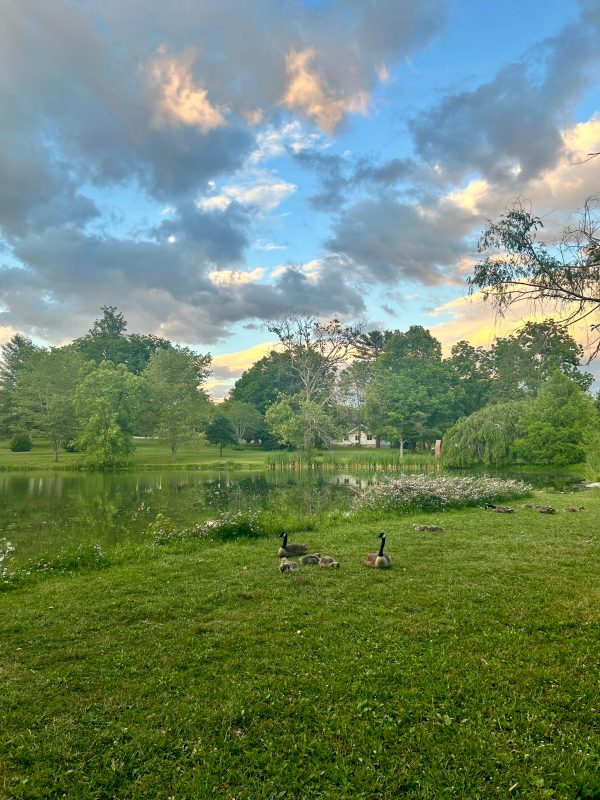 Nature: home beyond borders